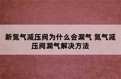 新氮气减压阀为什么会漏气 氮气减压阀漏气解决方法